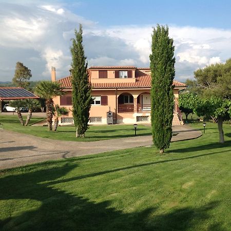 Bed & Breakfast La Volpe E L'Uva Santa Marinella Eksteriør billede
