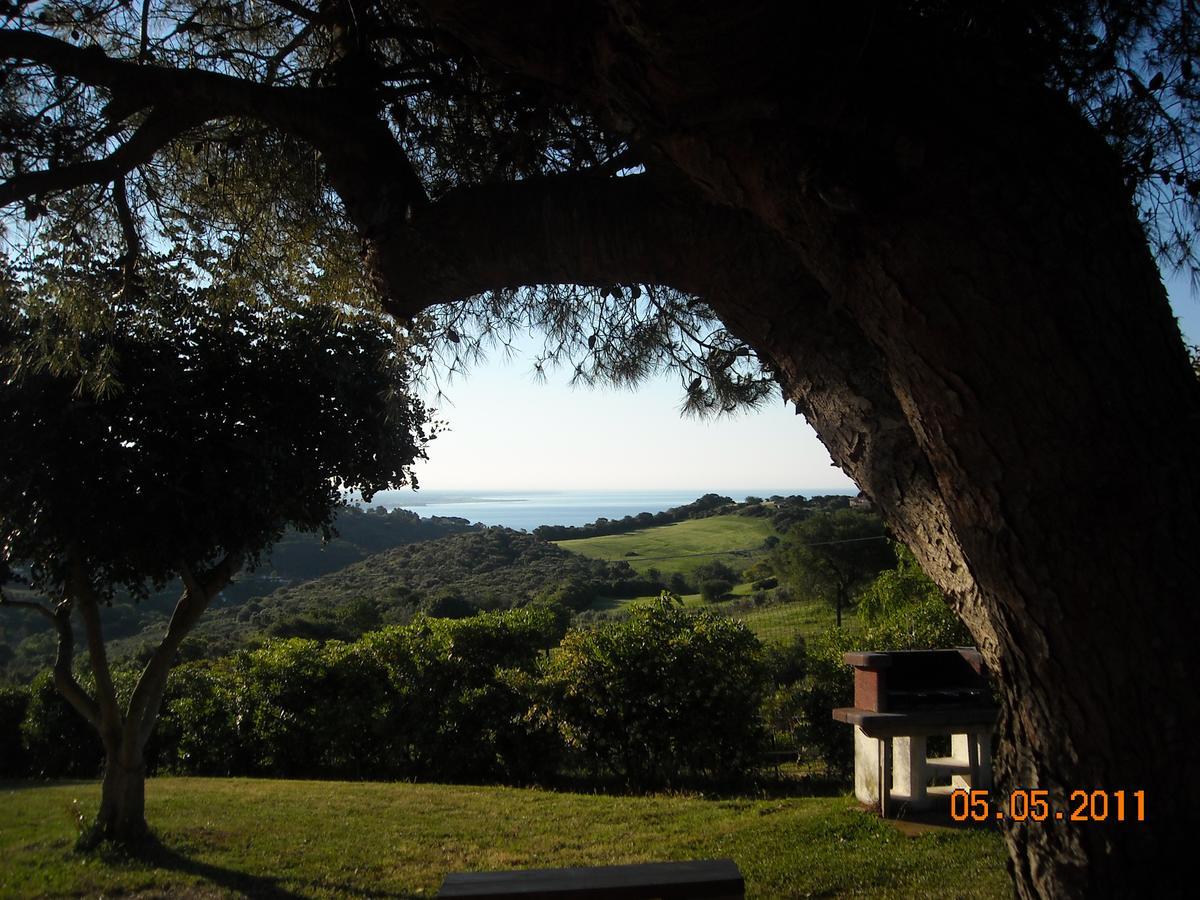 Bed & Breakfast La Volpe E L'Uva Santa Marinella Eksteriør billede