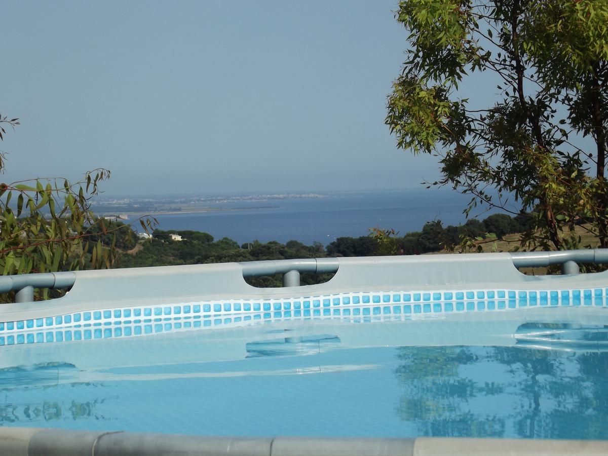Bed & Breakfast La Volpe E L'Uva Santa Marinella Eksteriør billede